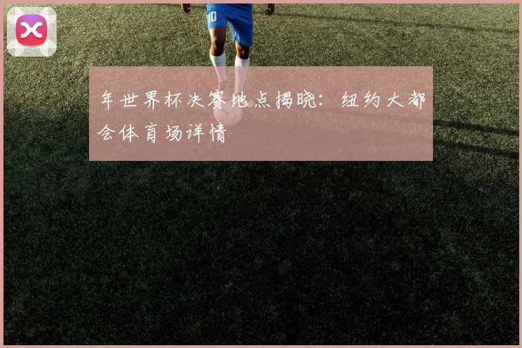 年世界杯决赛地点揭晓：纽约大都会体育场详情