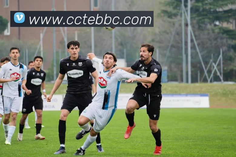 开云官方版网站登录入口发展历程